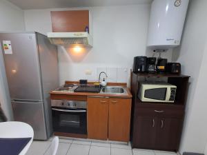 Departamento tipo estudio, cercano al Movistar Arenas y Teatro Caupolican