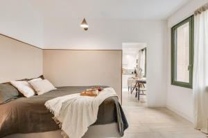 Appartements Dauphine - 1 chambre a Auteuil : photos des chambres