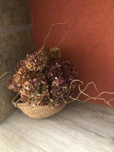 Appartements LA MAISON DU PORT : photos des chambres