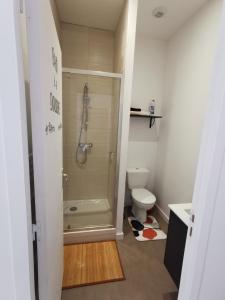 Appartements Le Palissy studio neuf et lumineux : photos des chambres