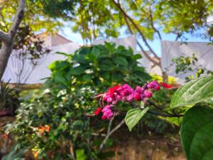 Cabaña Los Colibries