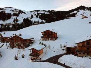 Chalets Superbe chalet 12 pers, proche pistes, sauna, animaux, parking - FR-1-293-55 : photos des chambres