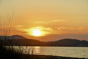 Barbaras Beach House