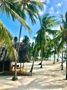Banja Amani Lodge Mafía Island