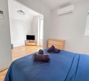 Sejournez dans l-un de nos 3 appartements renoves au coeur de Vichy : photos des chambres