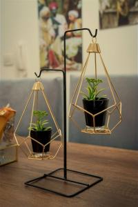 Sky High Harmony in Rehab - Peaceful Elegant apt