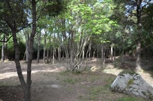 La Milange de Porto vecchio