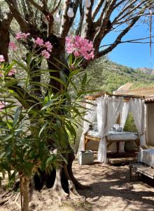 La Milange de Porto vecchio