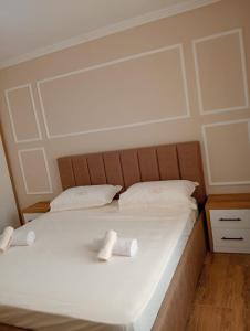 Central Vista Apartment Shkodra