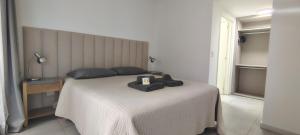 Departamento Cabrera zona Hospital Guemes