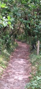 Appartements Villa Annabelle Charmant duplex a Messanges dans les Landes entre ocean et forets de pins : photos des chambres