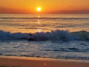 Appartements Villa Annabelle Charmant duplex a Messanges dans les Landes entre ocean et forets de pins : photos des chambres
