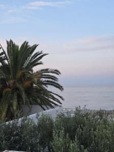 Villa Maya House - Cap Zbib