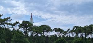 Appartements Villa Annabelle Charmant duplex a Messanges dans les Landes entre ocean et forets de pins : Appartement 1 Chambre