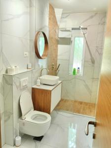 Luxury apartment Podgorica