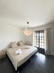 Appartements L-azur Provencal : photos des chambres