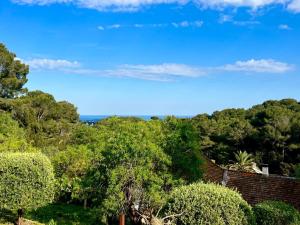 Appartements L-azur Provencal : photos des chambres
