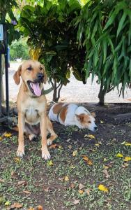 Hotel Campestre Villa Nazareth