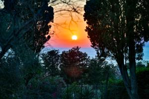 Villa Melina Bed & Breakfast