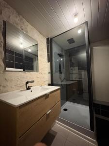 Le Cocon - Appartement avec salle de Cinéma