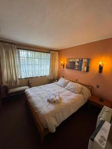 Hotel Boutique WenuPillan