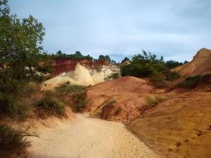 Maisons de vacances Gite Lisianthus : photos des chambres