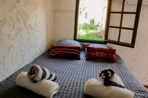 Villas Villa jardin secret centre-ville d-Antibes : photos des chambres