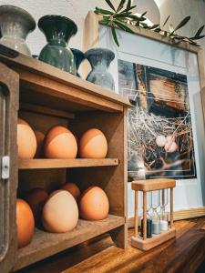 B&B / Chambres d'hotes Chateau le Bouis : photos des chambres