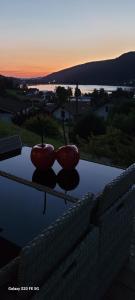 Appartement cosy - grande terrasse pleine vue lac