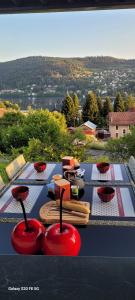 Appartement cosy - grande terrasse pleine vue lac