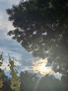 Namelis nr 2 Adelės sodyba