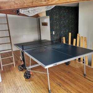Maisons de vacances Spacious lodge in spacious place : photos des chambres