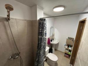 Cluj Center Apartment Untold