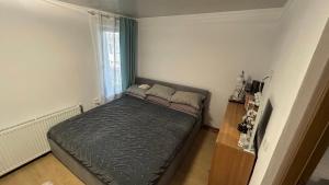 Cluj Center Apartment Untold