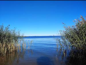 Namelis nr 2 Adelės sodyba