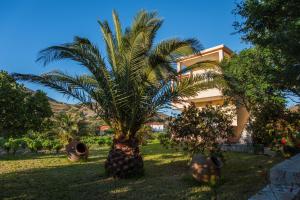 Akrogiali Apartments Limnos Greece