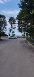 Зелёный рай