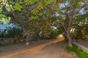 Akrogiali Apartments Limnos Greece