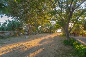 Akrogiali Apartments Limnos Greece