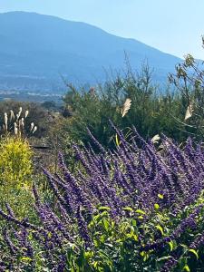 La Guarda Bed and Breakfast