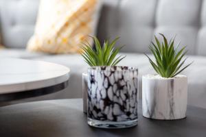 Le Auguste charmant duplex avec terrasse