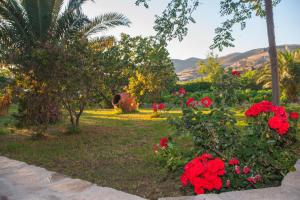 Akrogiali Apartments Limnos Greece