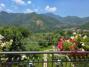 Tramonti Divini - Amalfi Coast Country House