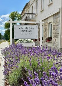 Vila Bílý Jelen apartments 2