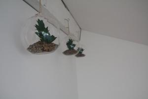 Central Kaunas Apartment