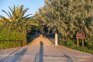 Akrogiali Apartments Limnos Greece