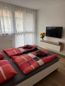 Apartmán u Berušky