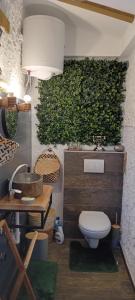 Camp, tent jurta for 4 guests, Ljubljana, shared bathroom and outdoor kitchen