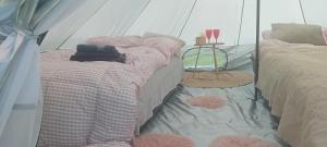 Camp, tent jurta for 4 guests, Ljubljana, shared bathroom and outdoor kitchen 