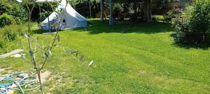Camp, tent jurta for 4 guests, Ljubljana, shared bathroom and outdoor kitchen